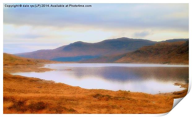  highland reflection Print by dale rys (LP)