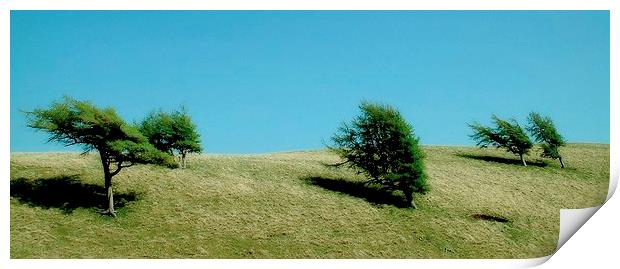  PENTLAND HILLS Print by dale rys (LP)