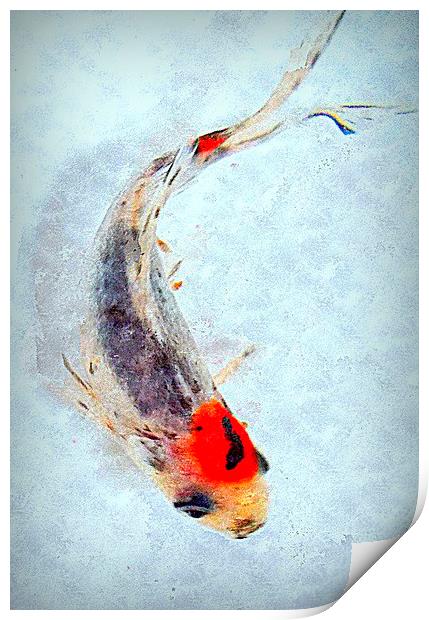  fish life  Print by dale rys (LP)
