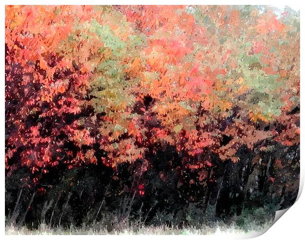  fall shot with alittle color.... Print by dale rys (LP)