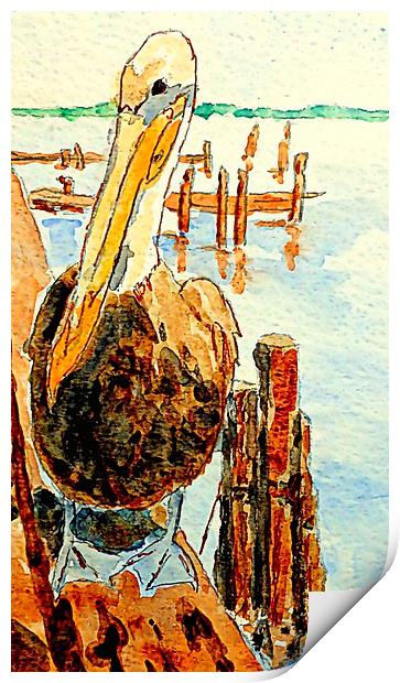  lone pelican - florida Print by dale rys (LP)