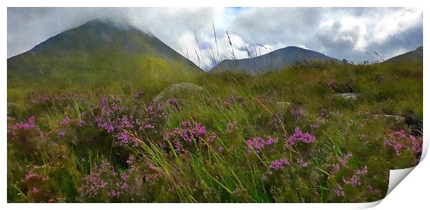 scottish purple heather Print by dale rys (LP)