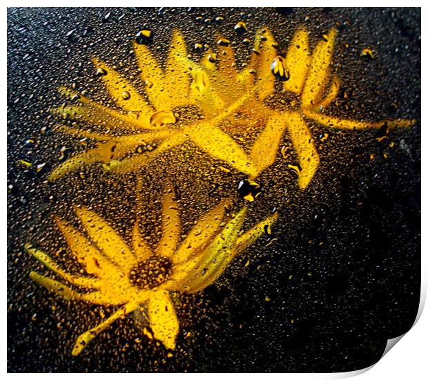 underwater flora Print by dale rys (LP)