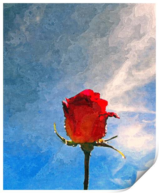 single rose Print by dale rys (LP)