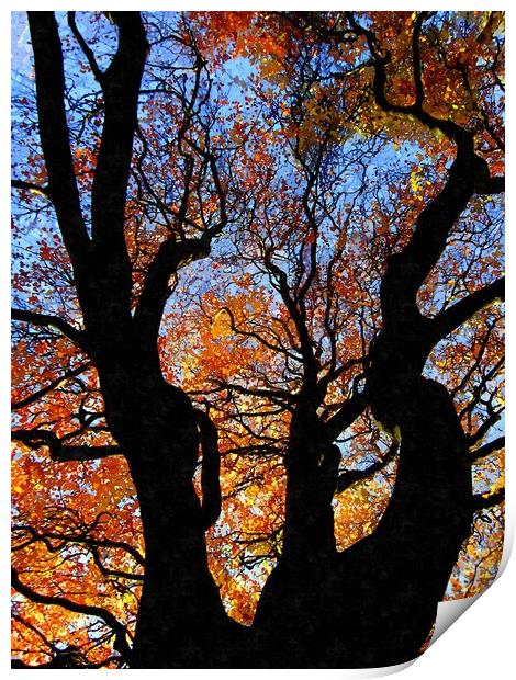 trees Print by dale rys (LP)