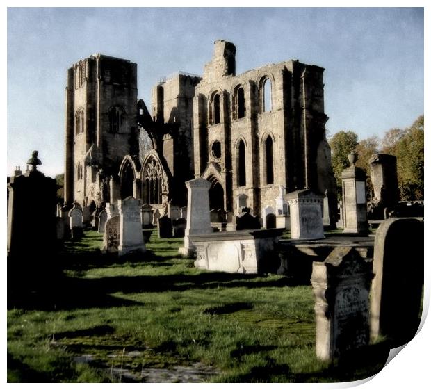 elgin cathedral Print by dale rys (LP)