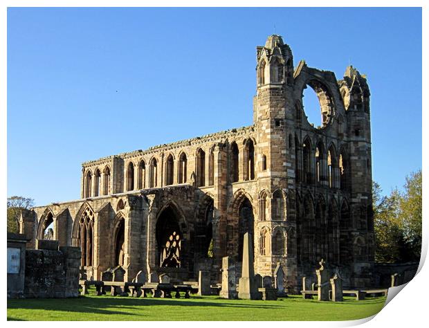 elgin cathedral  Print by dale rys (LP)