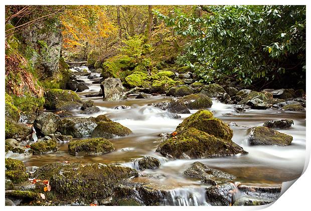 Downstream Lodore Print by Paul McKenzie