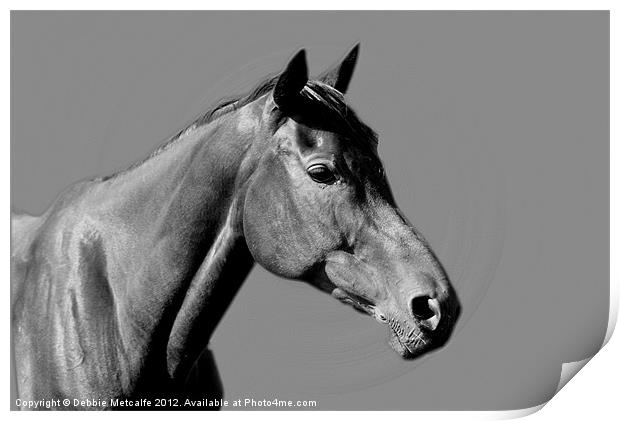 Horse Print by Debbie Metcalfe