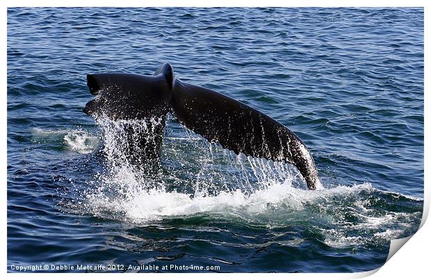 Water off a Whales tail Print by Debbie Metcalfe