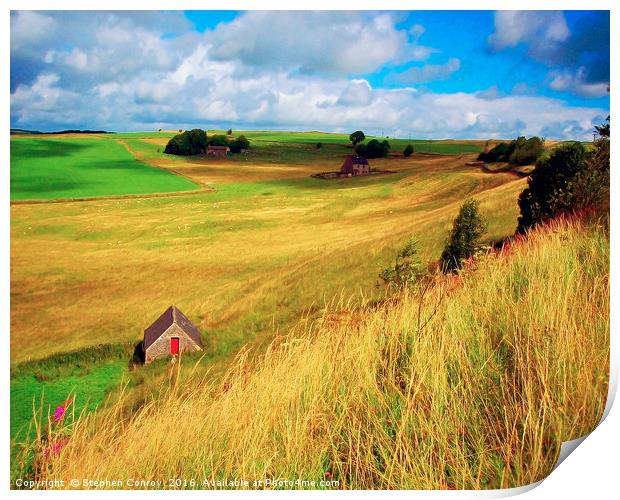 Farm Building with Red Door Print by Stephen Conroy