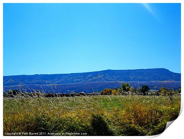 Grand Mesa in October Print by Patti Barrett