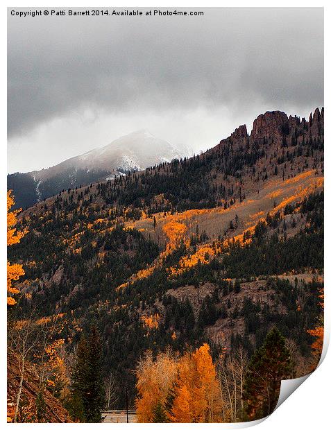  Fall Gold and Snow in Colorado Print by Patti Barrett