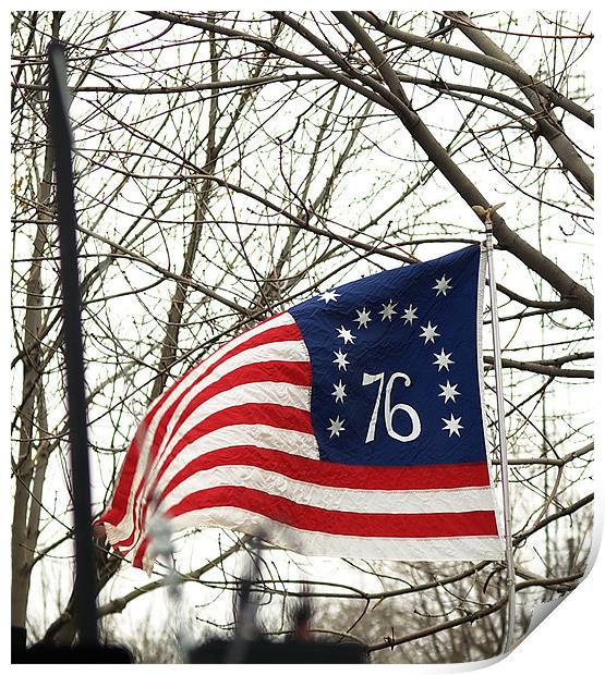 1776 Freedom Flag Print by Patti Barrett