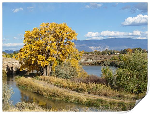 Golden Tree Print by Patti Barrett