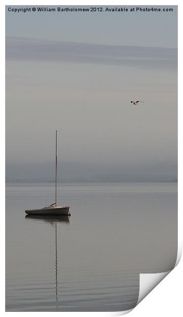 Sailboat & Seagull Print by Beach Bum Pics