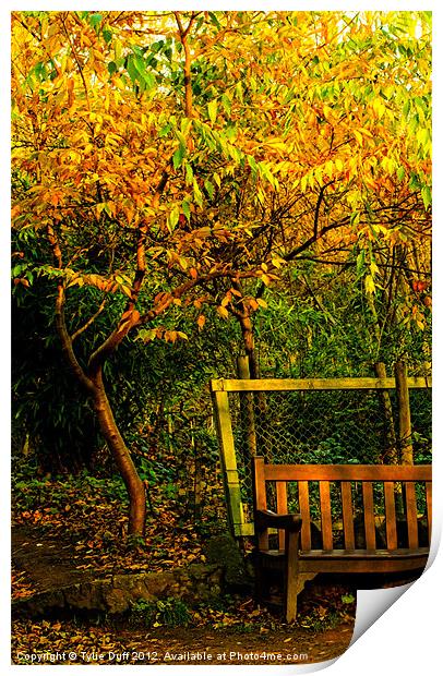 Autumn Leaves in Edinburgh Print by Tylie Duff Photo Art