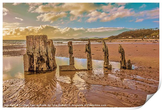 Groynes on Seamill Beach Print by Tylie Duff Photo Art