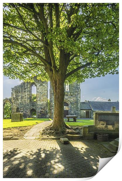 Springtime at Kilwinning Abbey Ayrshire Print by Tylie Duff Photo Art