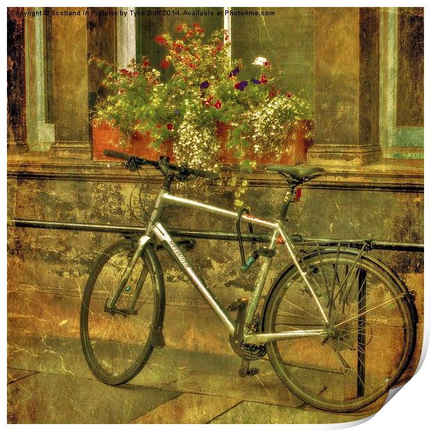 Bicycle and Flowers  Print by Tylie Duff Photo Art