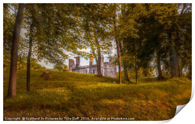 Huntly Castle Aberdeenshire Print by Tylie Duff Photo Art