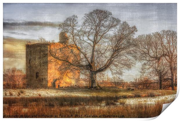 Barr's Castle Lochwinnoch Print by Tylie Duff Photo Art