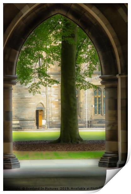 View From The Cloisters Print by Tylie Duff Photo Art