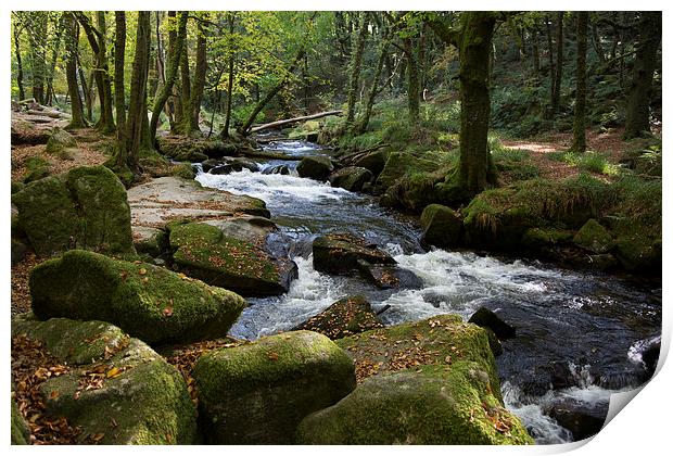 Golitha Falls, Bodmin Moor, Cornwall Print by Brian Pierce