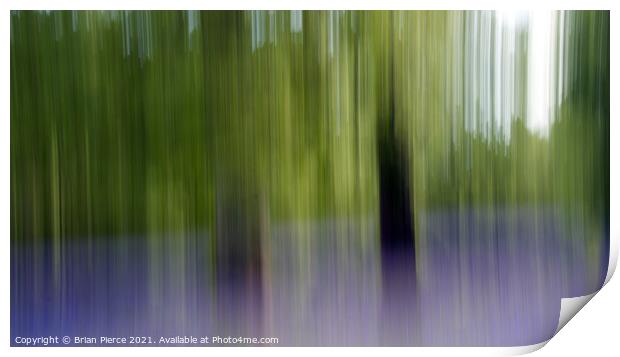 Bluebell Wood. Impression with intentional camera  Print by Brian Pierce