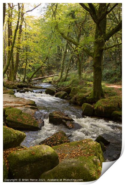 River Fowey at Golitha Falls  Print by Brian Pierce