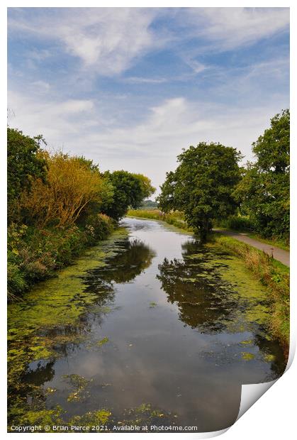 The Bude Canal Print by Brian Pierce