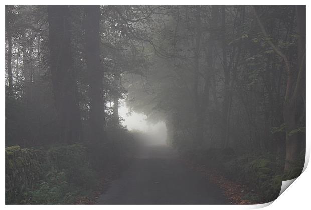 Morning Mist Autumn Lane Print by Darren Watkinson