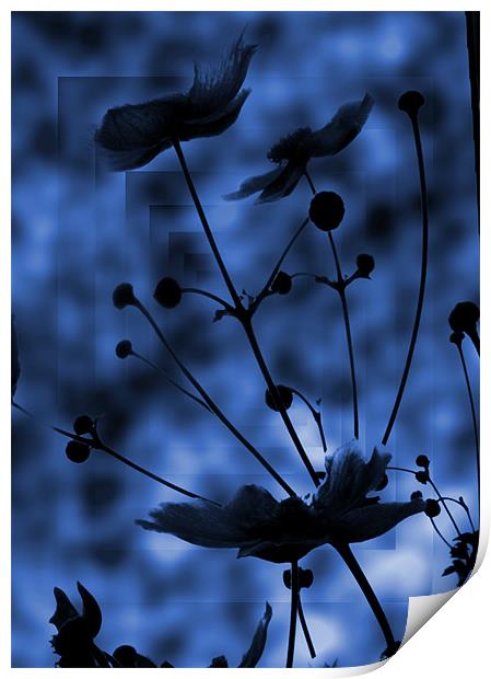 blue shadow Print by Sandra Beikirch