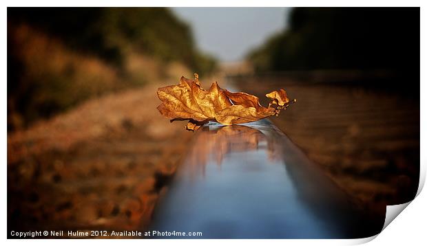 DELAY'S (due to a leaf on the line) Print by Neil  Hulme