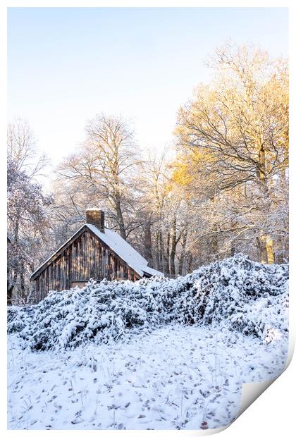 Cabin in the Woods Print by Graham Custance