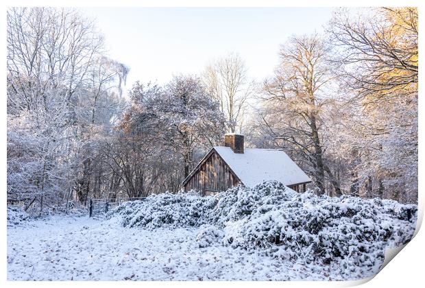 Cabin in the Woods Print by Graham Custance