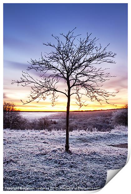 Winter Sunrise Print by Graham Custance