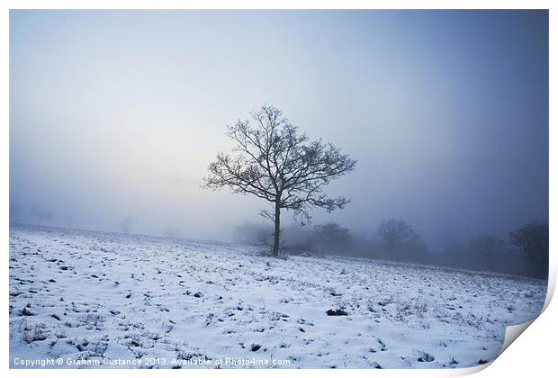 Lonely Tree Print by Graham Custance