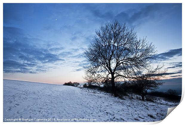 Winter Tree Print by Graham Custance