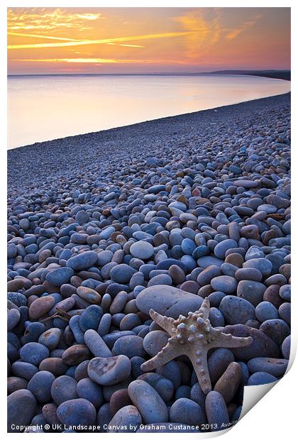 Chesil Beach Starfish Print by Graham Custance