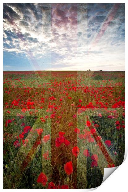 Poppy Field Print by Graham Custance