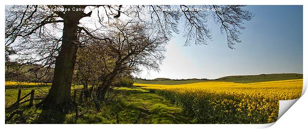  Ivinghoe Beacon Print by Graham Custance