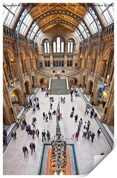 Natural History Museum  Print by Graham Custance