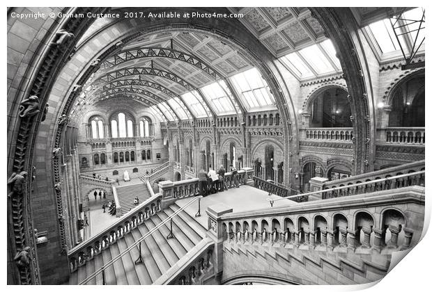 Natural History Museum, London Print by Graham Custance