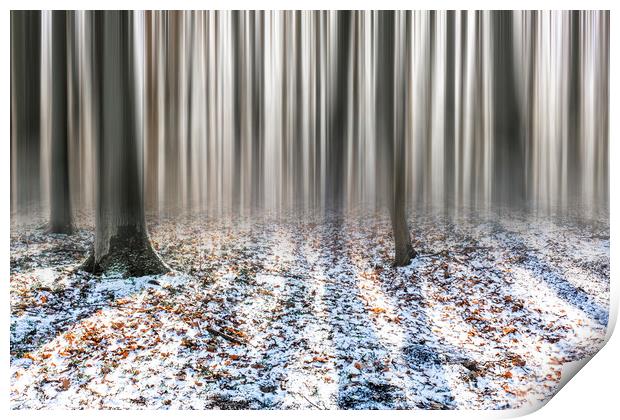 Winter Woods Print by Graham Custance