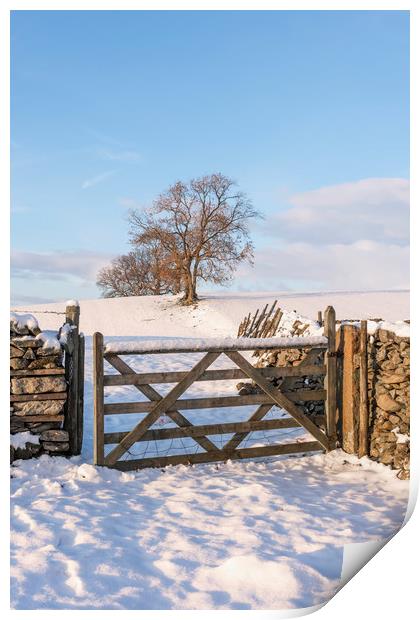 Yorkshire Dales in Winter Print by Graham Custance