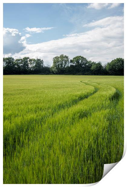 English Countryside Print by Graham Custance