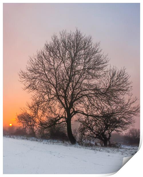 Winter Sunset Print by Graham Custance