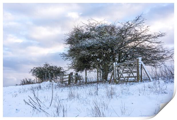 Ivinghoe Beacon in Winter Print by Graham Custance