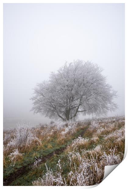 Dunstable Downs in Winter Print by Graham Custance